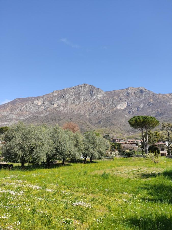 La Casa A Chiocciola Between Lake And Mountains Lierna Exterior photo